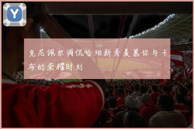 克尼佩尔调侃哈珀新秀羡慕你与卡布的荣耀时刻