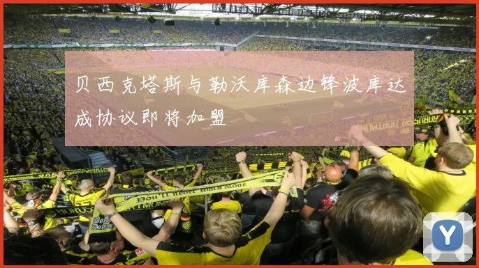 贝西克塔斯与勒沃库森边锋波库达成协议即将加盟